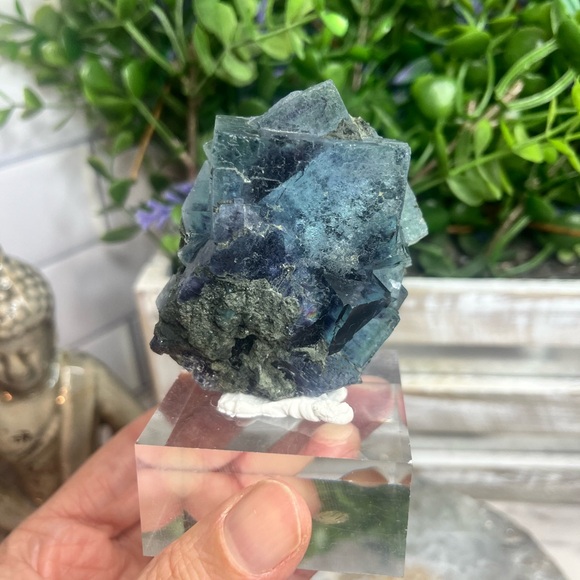 Stunning Yindu Fluourte - Picture 4 of 4